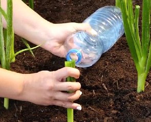 Top Creative Gardening Hacks for Stunning Results 🌿