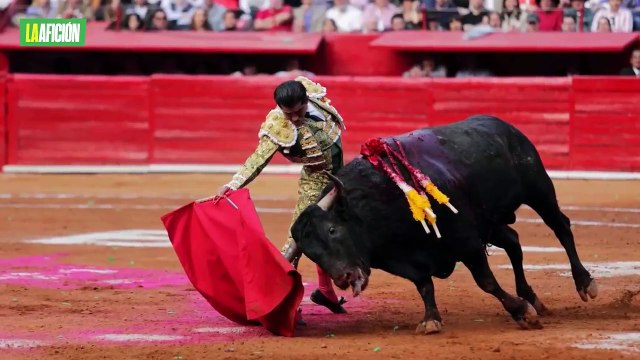 ¡Toros, sí! Clara Brugada propone corridas sin dañar a los animales: ¿cómo serán?