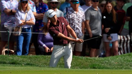 Highlights: Hoffman and Morikawa Shine Early at TPC Sawgrass