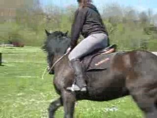 Néro arrêt/galop tayoooo