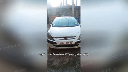 01-Peugeot 307