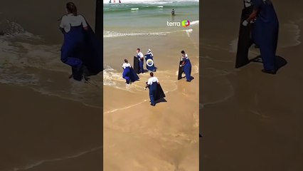 Lobo-marinho encalha em Guarujá e dribla resgate na faixa de areia #shorts