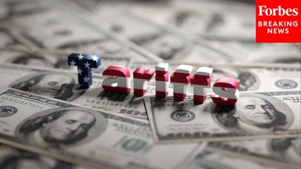 Economist: This Is Why President Trump Thinks Tariffs Are A Good Idea