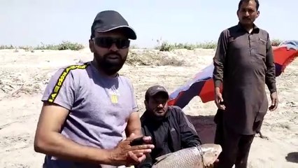 🎣Big Carp Fishing🎣