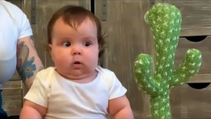 Funny Baby Reactions – Try Not to Laugh