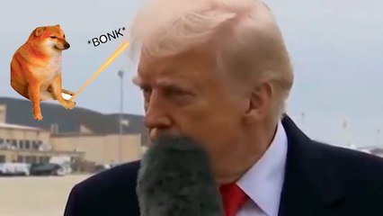 Donald Trump es golpeado con un micrófono por un reportero