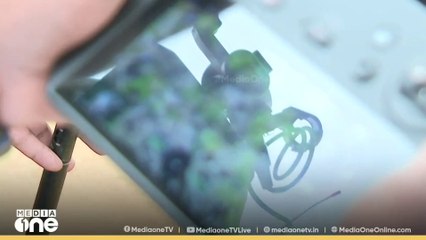 വണ്ടിപ്പെരിയാറില്‍ കടുവയിറങ്ങി; നിരീക്ഷിച്ച് വനം വകുപ്പ്