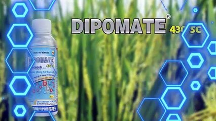 Đại lý Bùi Vĩnh Thái, An Giang đánh giá như thế nào về sản phẩm của SPC