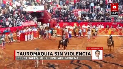 ¿Qué se sabe sobre la iniciativa de las corridas de toros sin violencia?