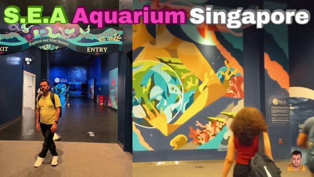 Sea Aquarium Singapore Tour | Resorts World Sentosa | Singapore | Singapore Oceanarium | Saltwater Aquarium | Aquarium | 32