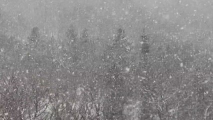 전남 구례군 지리산에 오늘 오전 최대 3.2㎝ 적설 / YTN