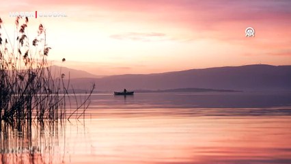 Yaren Leylek 14. yılda da göçten geldi
