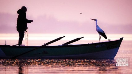 Yaren leylek yuvaya döndü! 15 gün gecikme ile Bursa’ya vardı