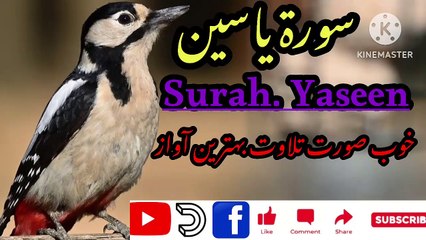 surah Yaseen beautiful recitation surah yasen ki tilawat