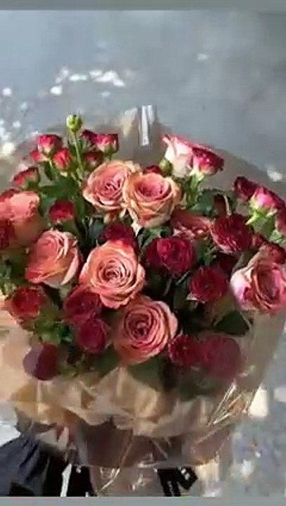 Welpe entdeckt Schnee! 20250315