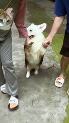 It's only morning and you two are dragging me everywhere