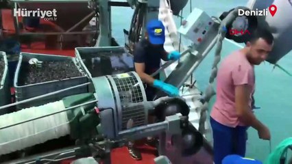 Türkiye'de bunu yapan tek kişi! İspanya'ya gidip üretimini öğrendi, makinesini tasarlayıp ihracata başladı