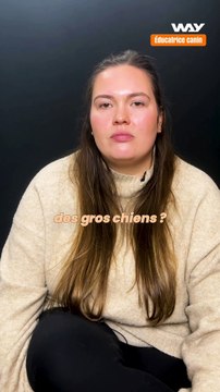 On dresse un chien ou on l'éduque ? ⏱️ Clarisse est éducatrice canin. Elle était venue répondre à tous les clichés sur son métier !