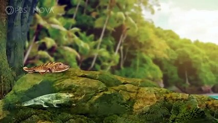 When Whales Walked: Journeys in Deep Time (2019)