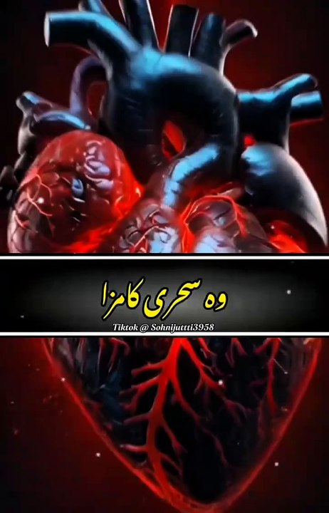 Quran Kareem
