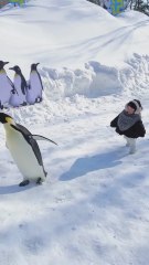 La divertida imagen de una niña imitando a un pingüino