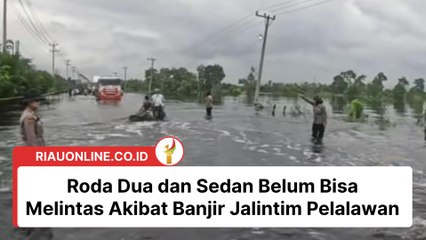 Roda Dua dan Sedan Belum Bisa Melintas Akibat Banjir Jalintim Pelalawan