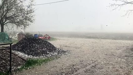 Il video della grandine a San Giovanni in Persiceto (Bologna)