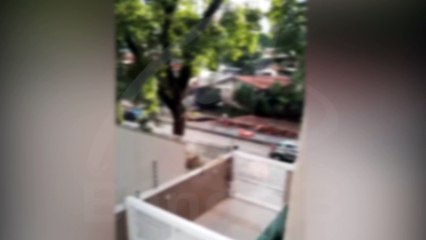 Homem é flagrado destruindo obra da Prefeitura de Curitiba