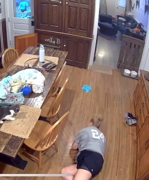 Woman Slips and Falls on Her Face While Playfully Sliding Backward