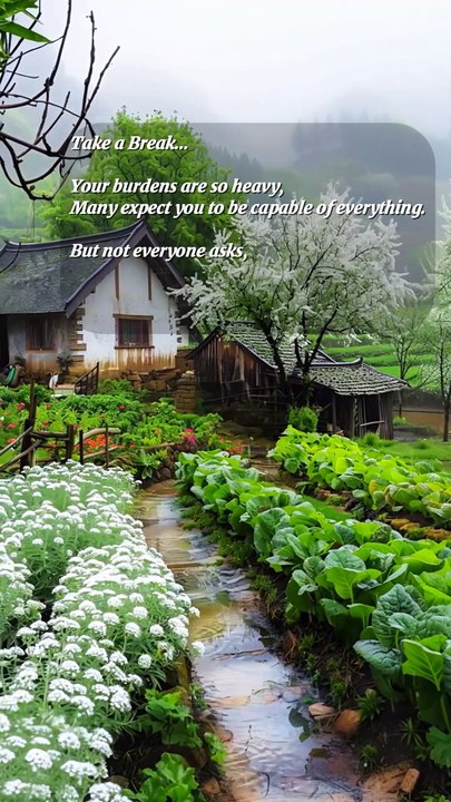 MELODY OF SERENITY IN THE RAIN: A MOMENT TO BREATHE 🌧️🎶