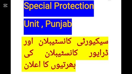 اسپیشل پروٹیکشن یونٹ پنجاب میں سیکیورٹی اور ڈرائیور کانسٹیبلز کی بھرتیاں | 2025 میں شاندار موقع