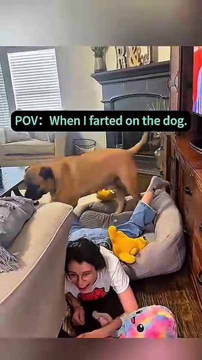 look at the end 🤣🤣