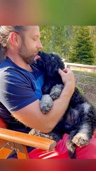 Animals are human's friend ~~