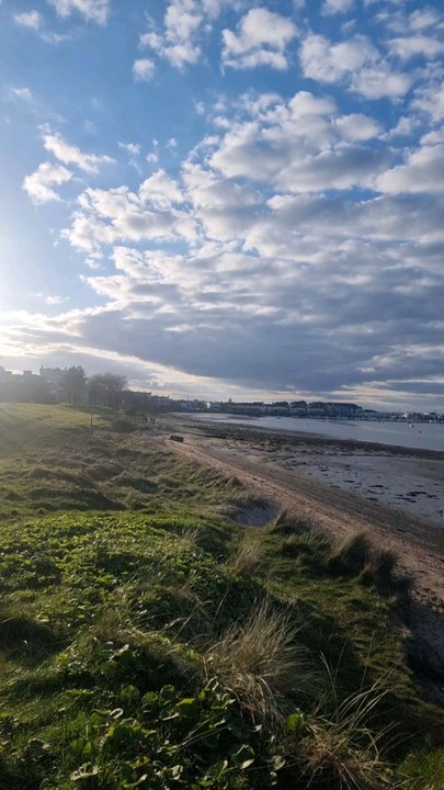 Malahide #5