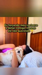 forcing my dog ​​to sleep 😂🤣