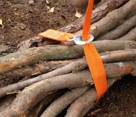 From Winter to Wow! Simple Tips to Prepare Your Yard for Spring!