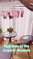 Drying Bras and Panties Collections