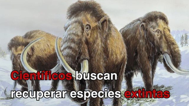 Científicos buscan recuperar especies extintas