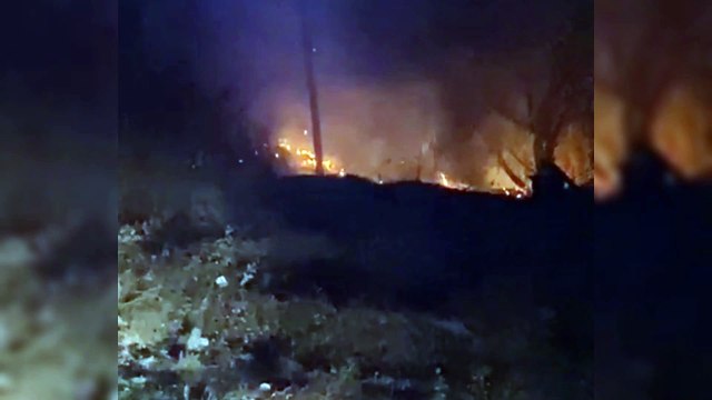 Ormanlık alanda yangın çıktı! İtfaiye ekipleri seferber oldu