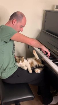 Cat Lounges Peacefully on Man�s Lap as He Plays Piano