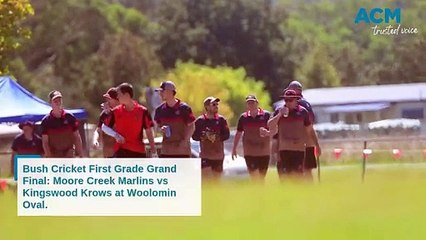 Moore Creek Marlins Win Exciting Peel Valley Bush Cricket Grand Final 🏆