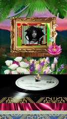 Fan Love: Erykah Badu - Animated Collage Live Wallpaper Screensaver