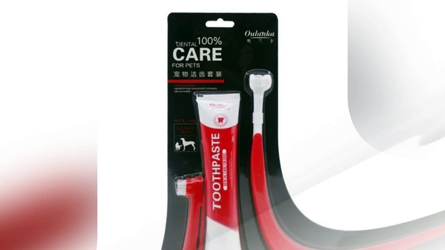 Pet Toothbrush And Toothpaste Set