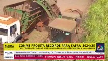 Produção da safra brasileira de grãos de 2024/25 pode atingir novo recorde | PLANTÃO TIMES BRASIL