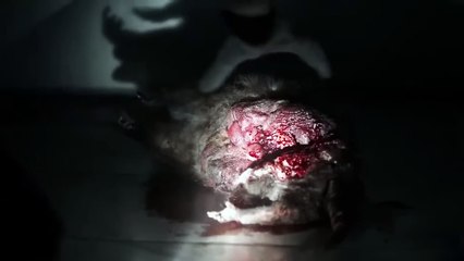 El día del juicio final (2016)- Pelicula Completa en español