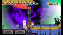 Super Paper Mario online multiplayer - wii