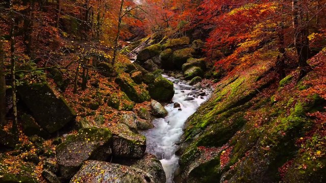 4K HDR 60fps Dolby Vision (4K Video ULTRA HD)_4K | Ultra HD Visuals for Your TV