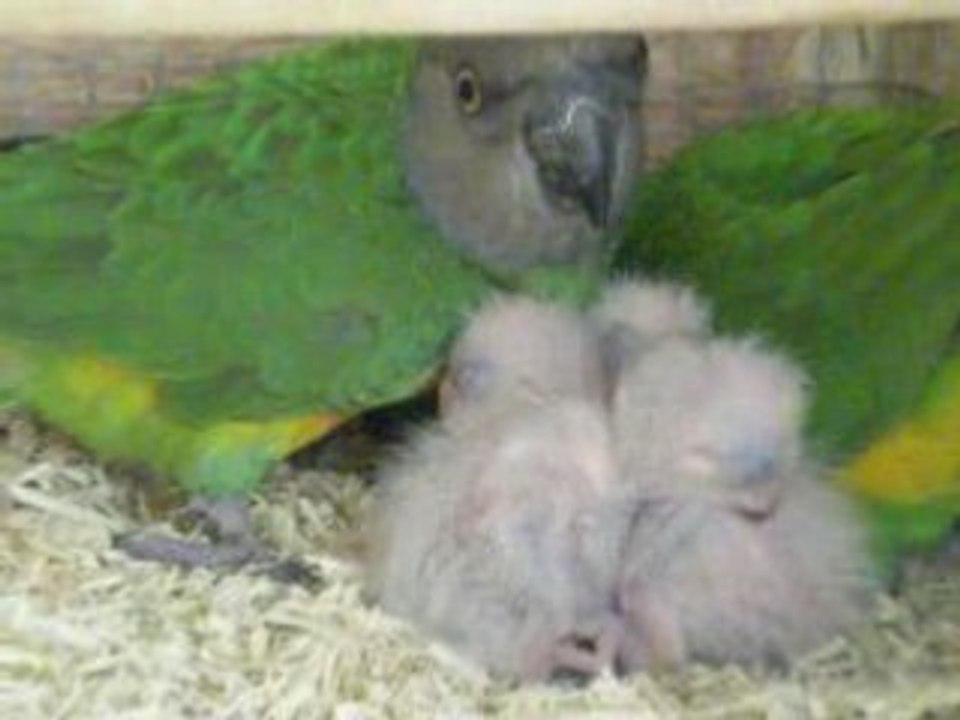 5 mai  2008