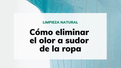Cómo eliminar el olor a sudor de la ropa