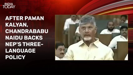 Andhra Chief Minister Chandrababu Naidu backs NEP's three-language policy